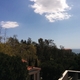 Illustration for article titled Pictures from the Getty Villa